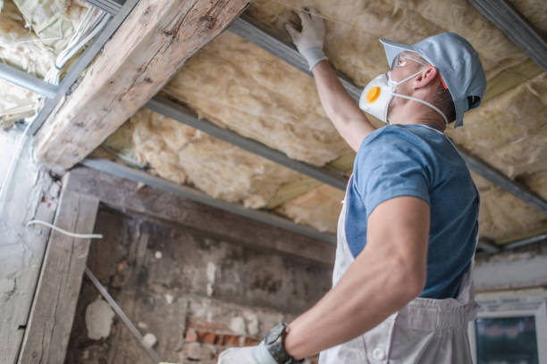Best Geographic-Specific Insulation Services in Indian Hills, CO